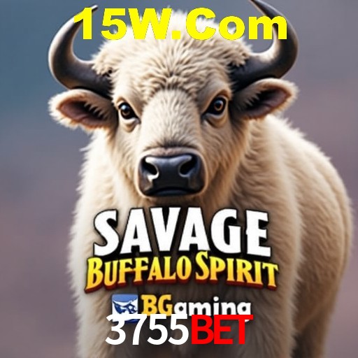 Interface Premium 3755Bet